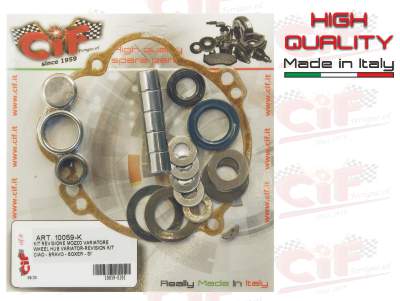 KIT REVISIONE MOZZO POSTERIORE PER CIAO-BRAVO-SI CON VARIATORE