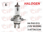 Lampadina H4 12V 60/55W