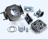 KIT GRUPPO TERMICO POLINI EVOLUTION D.47 70cc SP.10 IN GHISA MINARELLI VERTICALE