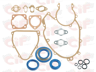 Kit guarnizioni motore vespa 50 L, R, N, special, 125 primavera, 125 ET3 - COMPLETE DI O-RING E PARAOLI (LATO VOLANO DA 19)