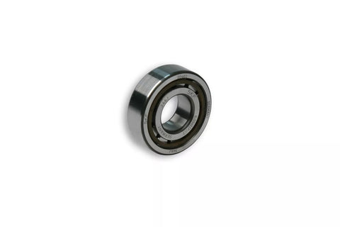 Cuscinetto a rulli MALOSSI 20x47x14 C3