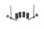 Valvole con molle MALOSSI 4-Stroke Valve per testa cilindro originale