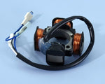 STATORE POLINI PER ACCENSIONE VESPA PX-PE 125/150/200 171.0657