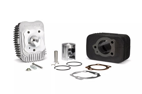 MALOSSI CIAO GRUPPO TERMICO 65cc ? 43 SPINOTTO 10 PIAGGIO CIAO PX 3118732