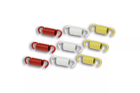 Serie molle racing MALOSSI MHR per frizione maxi scooter