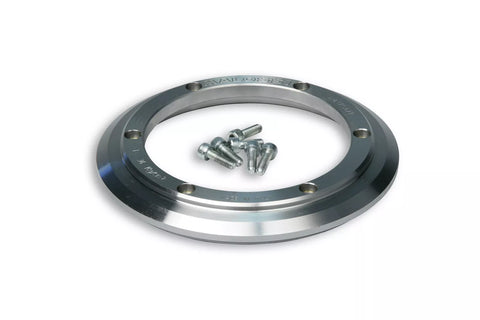 Peso aggiuntivo MALOSSI per accensioni VESPower - 824g