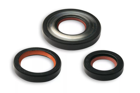 Kit paraoli MALOSSI in Viton Vespa 50, 90, Primavera, ET3, PK cono albero motore 19