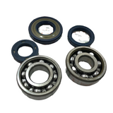 Kit Serie guarnizioni motore + cuscinetti e paraoli albero motore cono 19 per vespa 50 special n l r