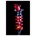 Ammortizzatore posteriore Bitubo XXT 321mm regolabile Aprilia Tuono 1000 2002-2005