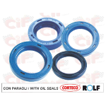 SERIE PARAOLIO MOTORE CIAO-BRAVO-SI' SENZA VARIATORE