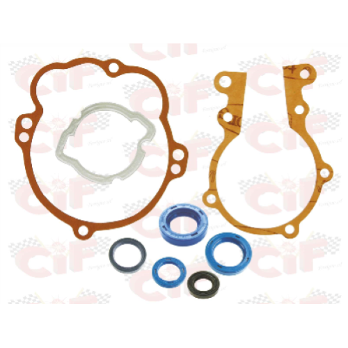 SERIE GUARNIZIONI E PARAOLI MOTORE CIAO-BRAVO-SI ' CON VARIATORE