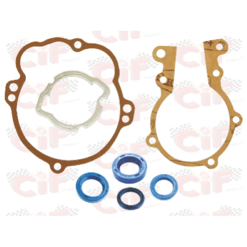 Serie gommini pompa freno doppia mandata (5 pezzi) per APE TM P703 - P703V (BENZINA) DAL 1984 - APE TM P703 - P703V (DIESEL) DAL 1987 - APE MAX DIESEL