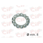 Rondella dentellata,zincata D.8mm