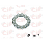 Rondella dentellata,zincata D.7mm