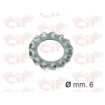 Rondella dentellata,zincata D.6mm