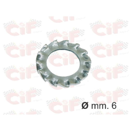 Rondella dentellata,zincata D.6mm