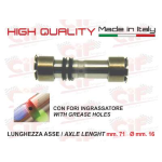 Perno sospensione anteriore completo d.16x71 mm CON FORI INGRASSATORE (COMPLETO DI N.2 ANELLINI) per APE 50