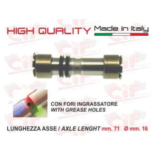 Perno sospensione anteriore completo d.16x71 mm CON FORI INGRASSATORE (COMPLETO DI N.2 ANELLINI) per APE 50