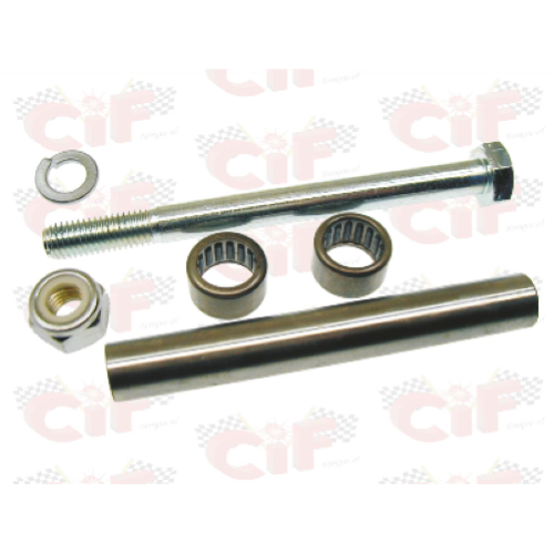 Kit perno oscillante motore per ciclomotori Piaggio CIAO, BRAVO, SI', GRILLO, BOSS