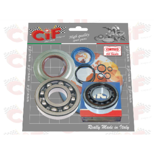 Kit cuscinetti e paraoli albero motore Vespa PX125T5