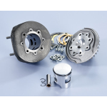 Gruppo termico Cilindro POLINI EVOLUTION VESPA 125 PRIMAVERA-ET3 D.58mm 135cc
