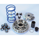 VARIATORE POLINI PIAGGIO BEVERLY 200/250/300 9 RULLI - REF 241.665 / 241665