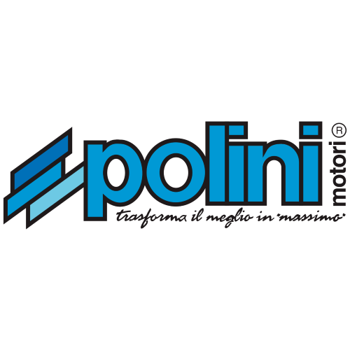 Polini pistone Evolution Sel.A D.60 59.92mm Piaggio Vespa 125 2T Primavera