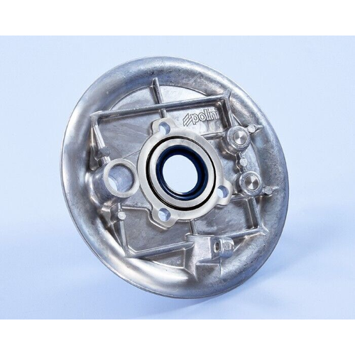 Piatto Porta Ganasce Freno Posteriore Polini Vespa 50 Special 125 ET3 170.0501