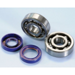 KIT CUSCINETTI REVISIONE ALBERO MOTORE POLINI HM DERAPAGE 50 Minarelli AM6