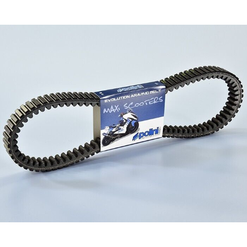 Cinghia variatore POLINI Vespa 250 GTS, 300 GTS, GTV, per variatore EVOLUTION