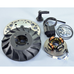 ACCENSIONE POLINI VESPA PX-PE 125/150/200 AVVIAMENTO ELETTRICO