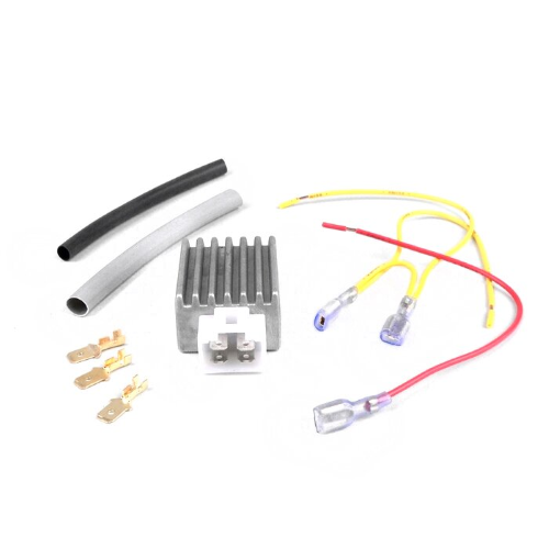 Regolatore di tensione BGM PRO 12V AC/DC UNIVERSALE