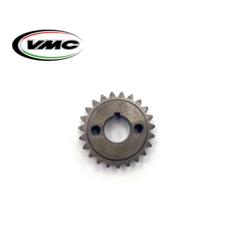 Pignone primaria vespa z 23 vmc per rapporti 24-72 denti dritti