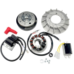 Accensione elettronica ITALKAST Super cono 20mm, volano RIVETTATO 1,4 KG Vespa 50 125 special n l r et3 pk s xl