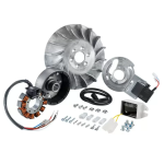 Accensione SIP PERFORMANCE Road Classic 12 V CA per Vespa LARGEFRAME