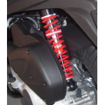 Coppia ammortizzatori posteriori Bitubo YGB0 Malaguti Madison 200S 2002-2003