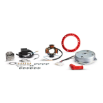 KIT ACCENSIONE ELETTRONICA MALOSSI POWER PIAGGIO SI 50 -5517192