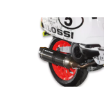 Marmitta MALOSSI RX MHR