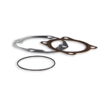 Serie guarnizioni cilindro MALOSSI 166cc Vespa Largeframe