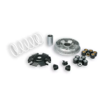 Variatore MALOSSI Multivar 2000