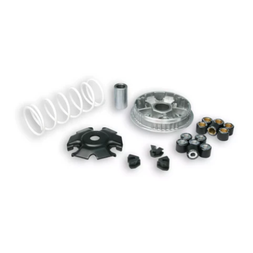 Variatore MALOSSI Multivar 2000