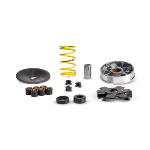 Variatore Malossi multivar 2000 per Piaggio Ciao 50 2T
