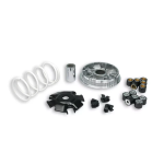 Variatore MALOSSI Multivar 2000, rulli 20x17 mm, 9,5/14,0 gr