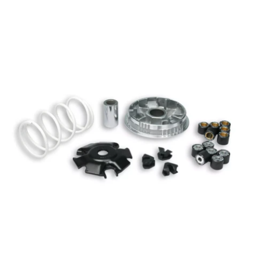 Variatore MALOSSI Multivar 2000, rulli 20x17 mm, 9,5/14,0 gr