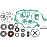 GUARNIZIONI E CUSCINETTI E MINUTERIA MOTORE